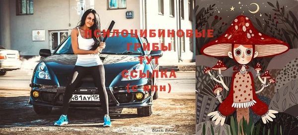 прущая мука Армянск