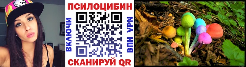 Псилоцибиновые грибы Magic Shrooms  Поронайск 